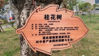 “種”希望！綠化中普，共建美麗家園